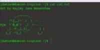 What Is the CAT Command in Linux and How to Use It