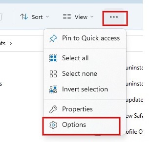 Click  three-dots and select "Options" from the pop-down menu in File Explorer.