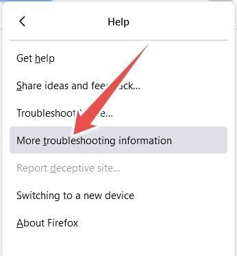 "More troubleshooting information "option in Firefox menu.
