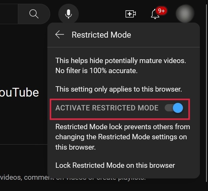 Toggling off "Activate Restricted Mode" option. 