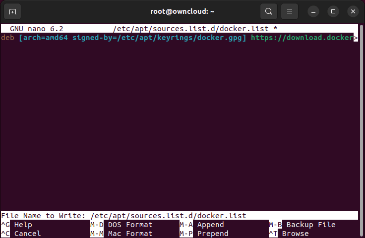 A terminal showing the Docker repository information for Ubuntu.